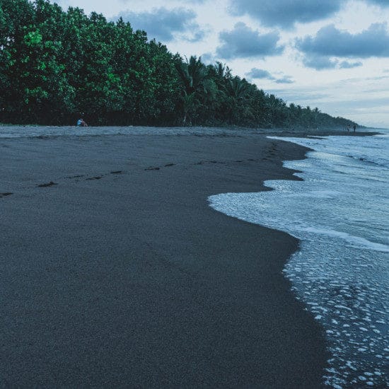 tierra-latina-etienne-delorien-parc-national-tortuguero-costa-rica