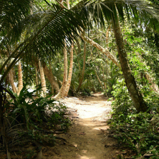 tierra-latina-lisa-kessler-parc-national-tortuguero-costa-rica