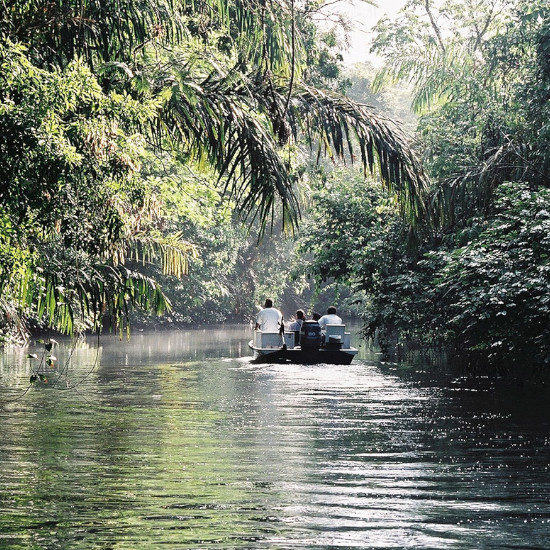 tierra-latina-navigation-parc-national-tortuguero-costa-rica