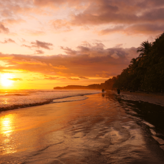 plages-costa-rica-selina-bubendorfer-rUTAE5YwkKY-unsplash