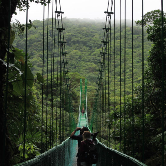 tierra-latina-angela-erick-monteverde