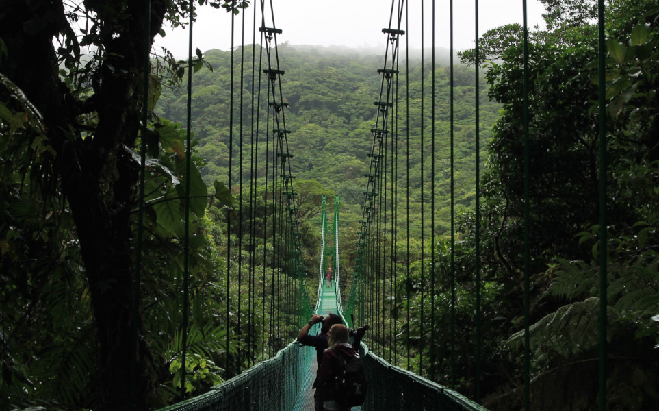 tierra-latina-angela-erick-monteverde