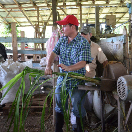 tierra-latina-atelier-communaute-rurale-costa-rica