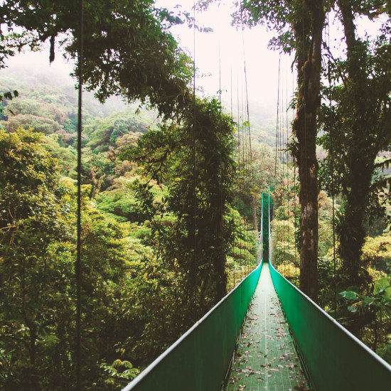 tierra-latina-ben-ostrower-le-costa-rica-en-petit-groupe