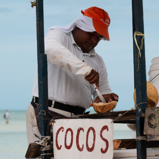 tierra-latina-jose-pablo-dominguez-voyage-holbox