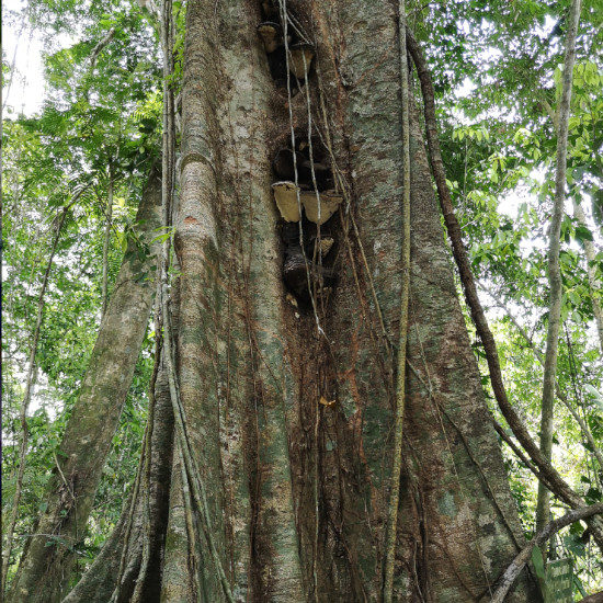 tierra-latina-randonnée-communaute-rurale-costa-rica