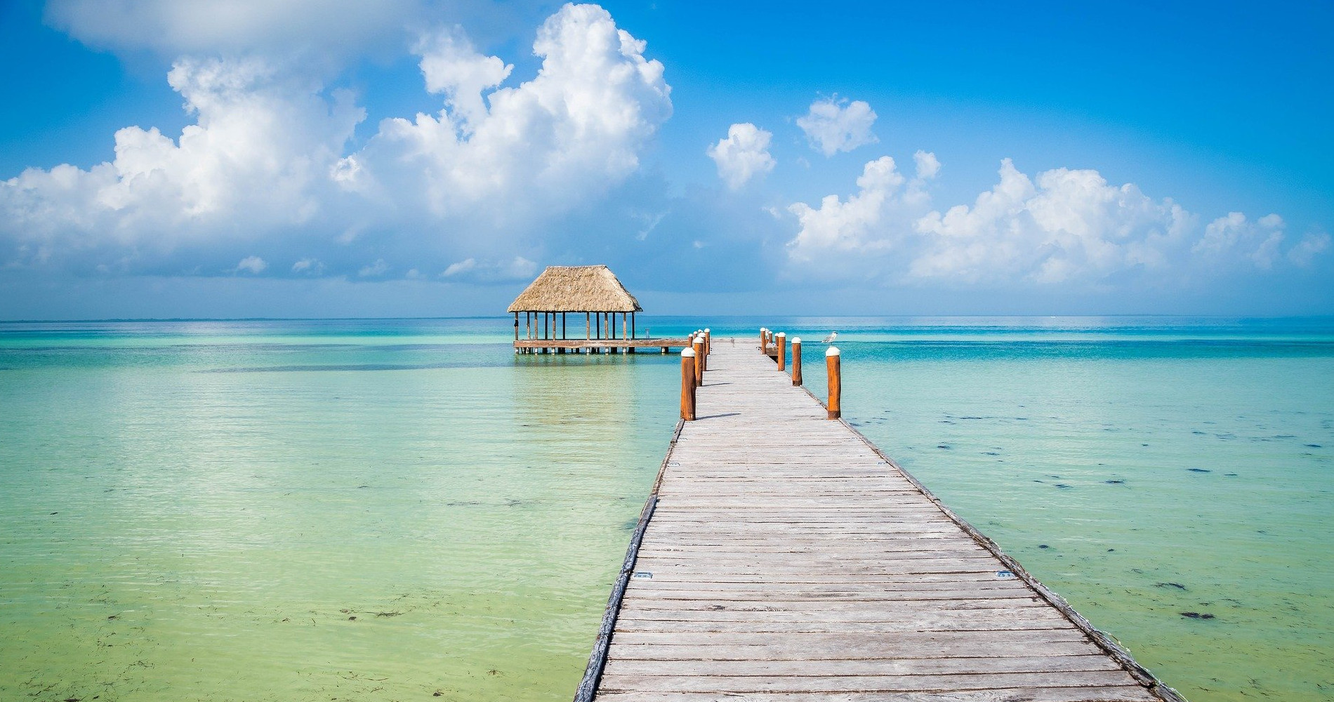 tierra-latina-rodrigo-suza-sejour-holbox