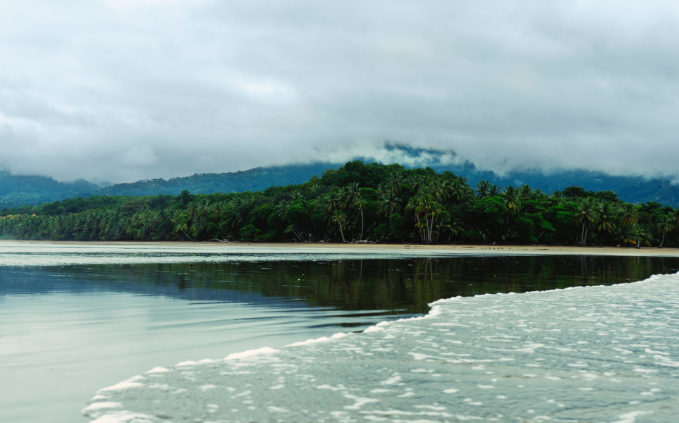 tierra-latina-vincent-branciforti-marino-ballena-costa-rica