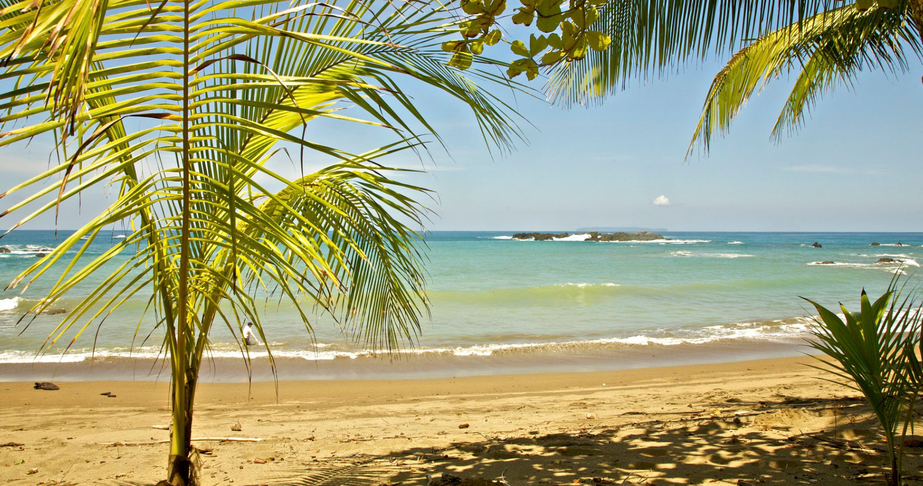 tierra-latina-vytautas-serys-les-caraïbes-du-costa-rica