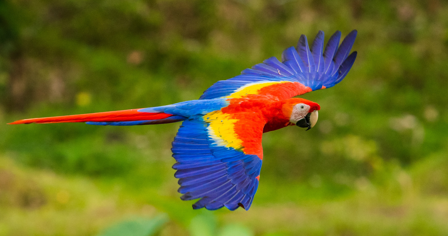 tierra-latina-zdenek-machece-circuit-au-costa-rica