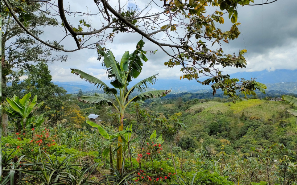 tierra-latina-alexandra-san-agustin-colombie