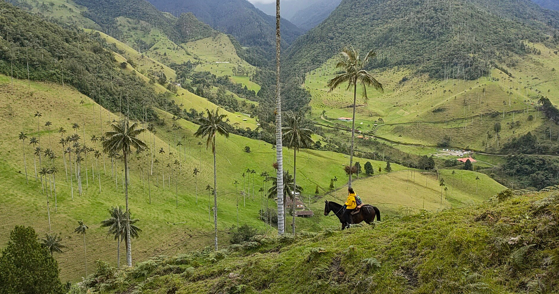 alexandra-voyage-a-salento-colombie