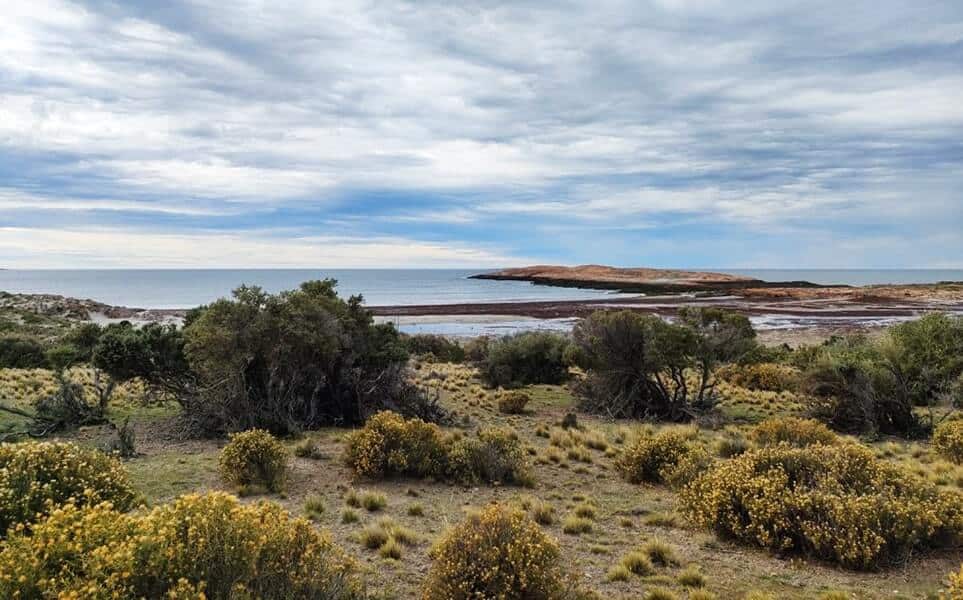 voyage-argentine-patagonie-bahia-bustamante-01-alex-limplaire