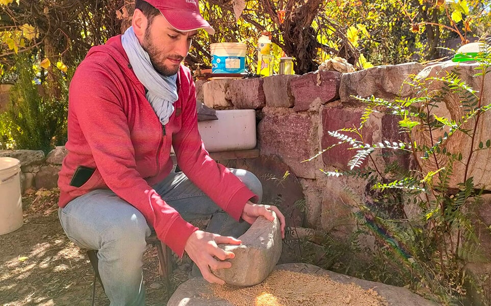 voyage-argentine-quinoa-humahuaca-jujuy-alex-limplaire