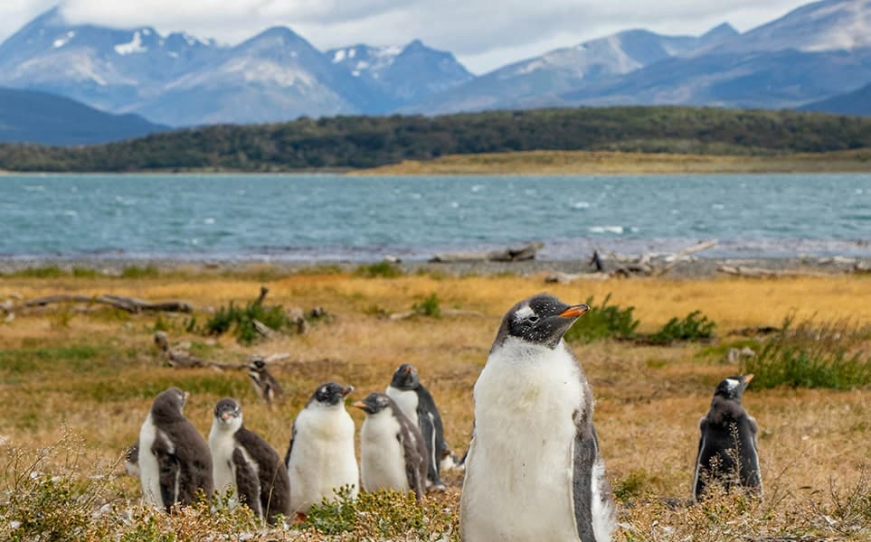voyage-argentine-terre-de-feu-ushuaia-agus-buscaglia-unsplash