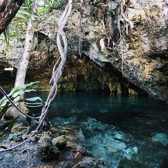 voyage-mexique-yucatan-cenote-alex-limplaire