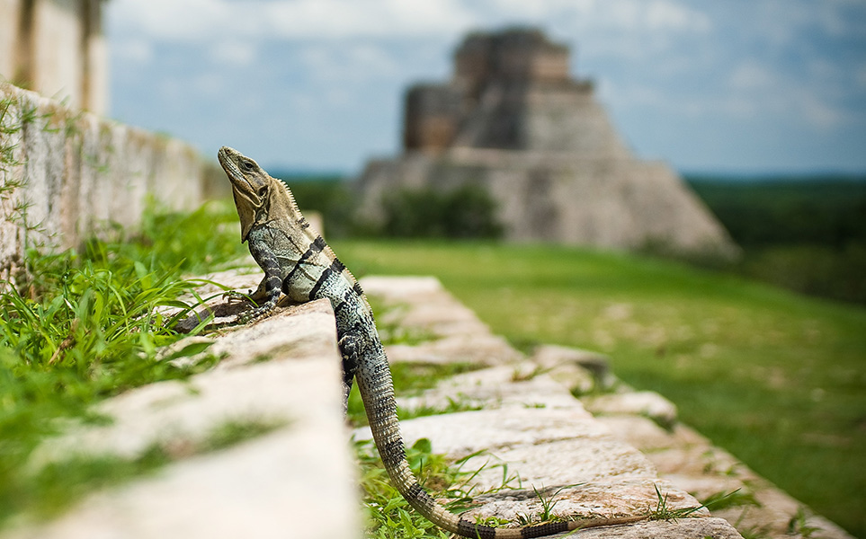 voyage-mexique-yucatan-uxmal-marv-watson-unsplash