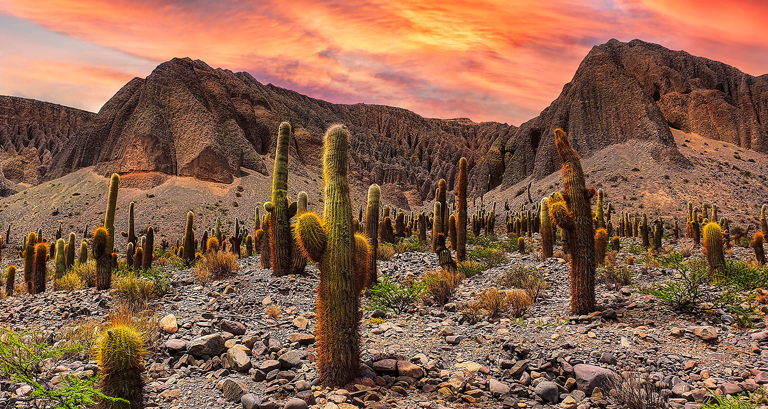 partir-en-automne-amerique-latine-salta-hector-ramon-perez-unsplash