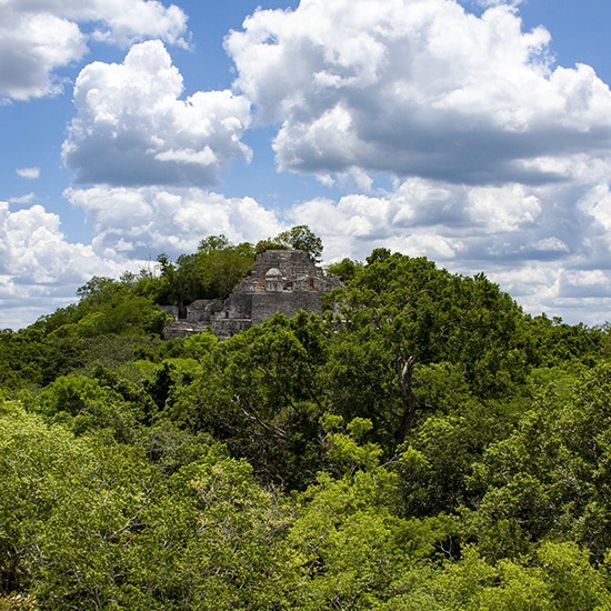 voyage-mexique-calakmul-jorge-rodriguez-pixabay