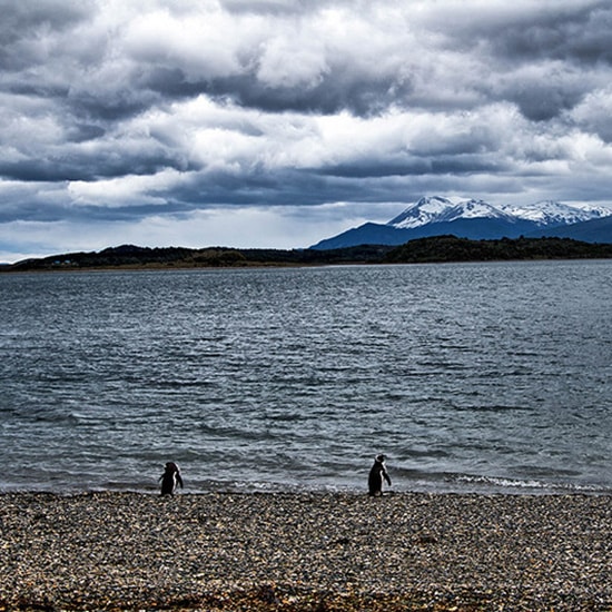 Puerto_Almanza_Ushuaia_Terre_de_feu-550