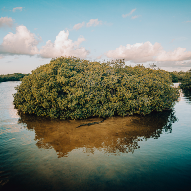 Sian Ka’an YUCATAN