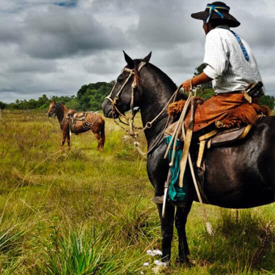 voyage-argentine-esteros-del-ibera-03-ph-andrea-ruggeri-nikon
