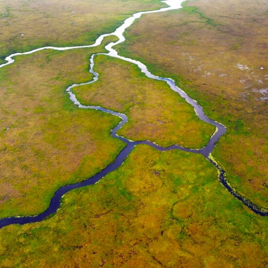 voyage-argentine-esteros-del-ibera-04-ph-andrea-ruggeri-nikon