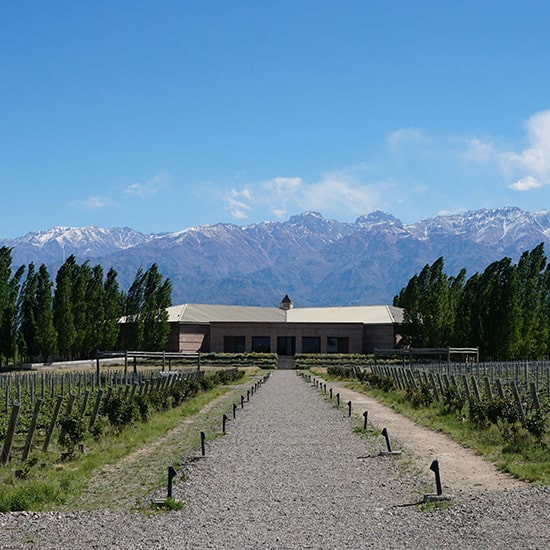 voyage-argentine-mendoza-bodega-vallee-uco-matt-broch-unsplash
