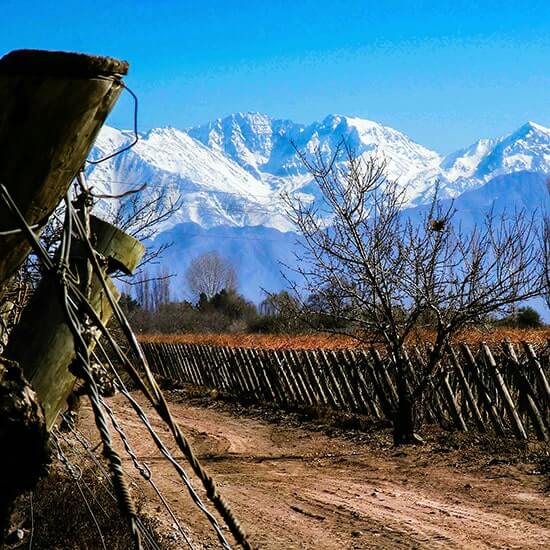 voyage-argentine-mendoza-hector-ramon-perez-unsplash