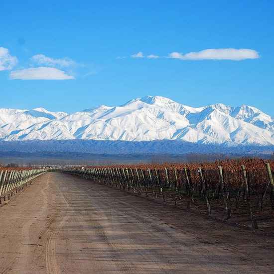voyage-argentine-mendoza-lujan-bodega-juan-pelizzatti-wikimedia