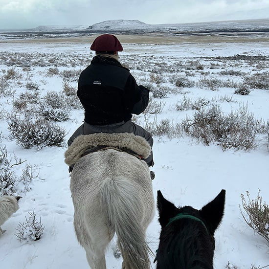voyage-argentine-patagonie-calafate-cheval-henrique-sa-unsplash
