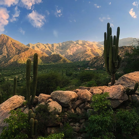 voyage-argentine-salta-cafayate-hector-ramon-perez-unsplash