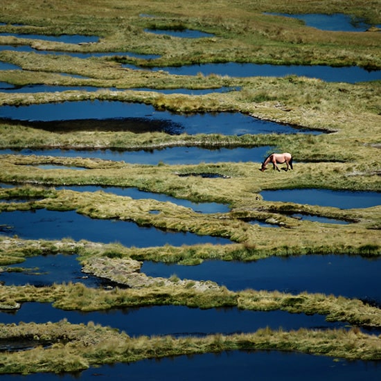 voyage-argentine-san-juan-calingasta-luciano-oldecop-unsplash