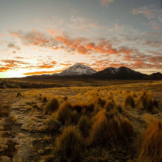 voyage-bolivie-oruro-pexels-marko-aim