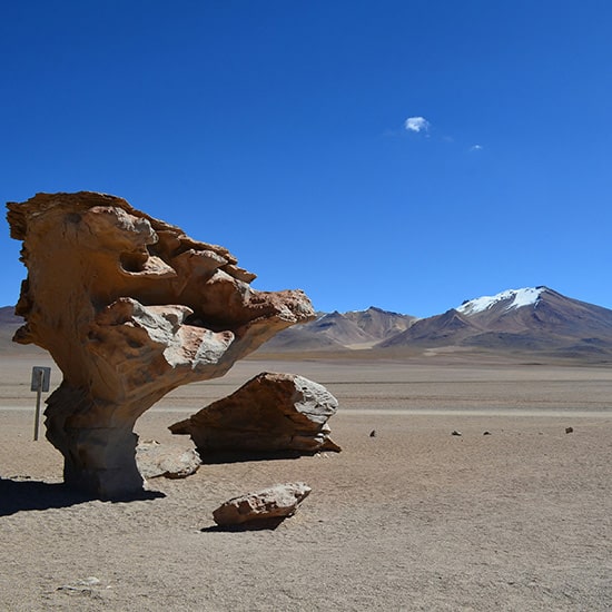 voyage-bolivie-uyuni-arbol-piedra-gabriel-rojas-unsplash