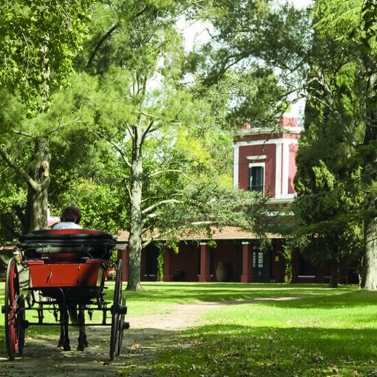 voyage-buenos-aires-journee-estancia-gauchos-areco