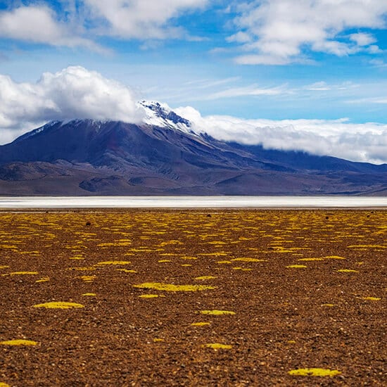 voyage-chili-nord-atacama-salar-surire-pexels-andre-ulysses-de-salis
