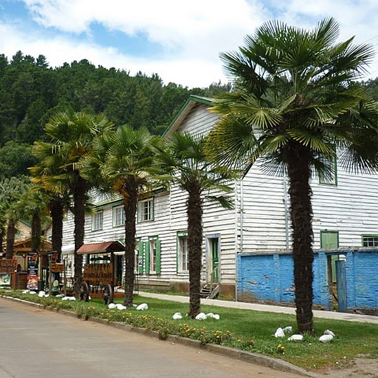 voyage-chili-patagonie-contulmo-craton-wikimedia