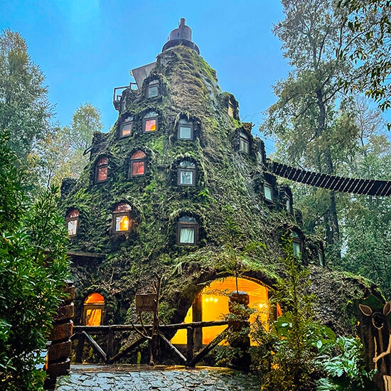 voyage-chili-patagonie-hotel-huilo-huilo-marco-valverde-barraza-unsplash