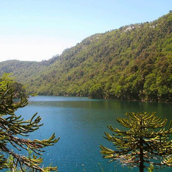 voyage-chili-patagonie-huerquehue-ben-bowes-flickr