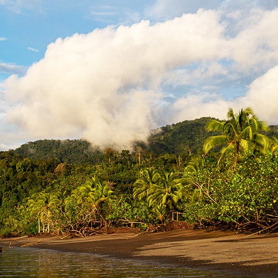voyage-colombie-bahia-solano-pexels-silvana-palacios