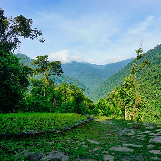 voyage-colombie-trek-cite-perdue-datingjungle-unsplash