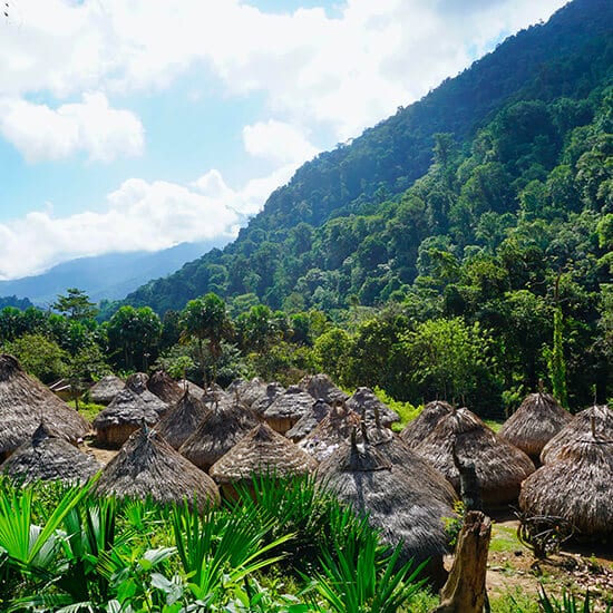 voyage-colombie-trek-ciudad-perdida-datingjungle-unsplash