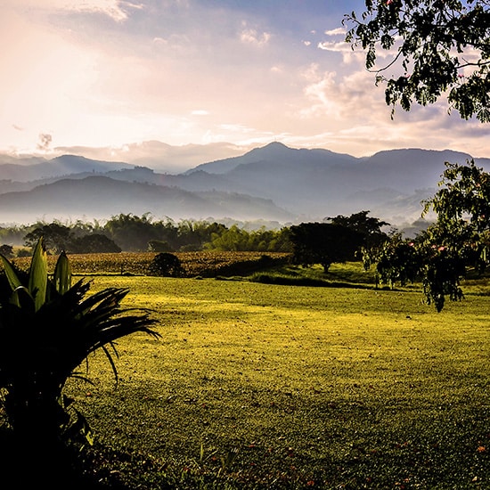voyage-colombie-zona-cafetera-jeremy-stewardson-unsplash
