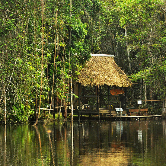 voyage-equateur-cuyabeno-constanza-s-mora-unsplash