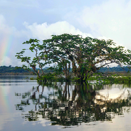 voyage-equateur-cuyabeno-masha-buschujewa-unsplash