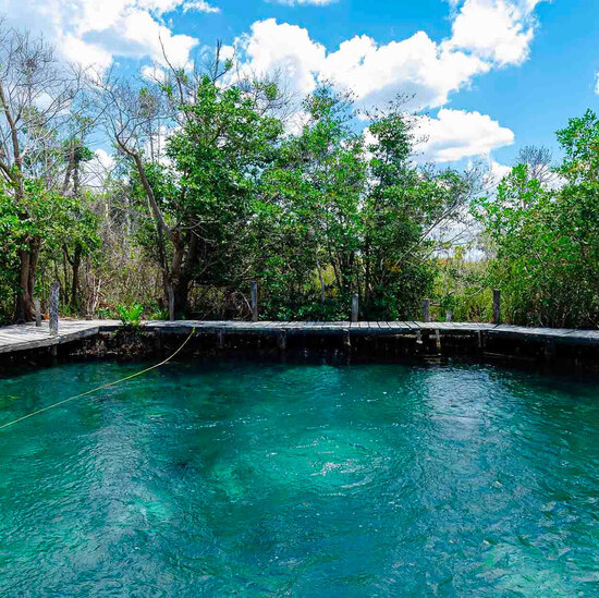 voyage-mexique-holbox-cenote-yalahau-odys