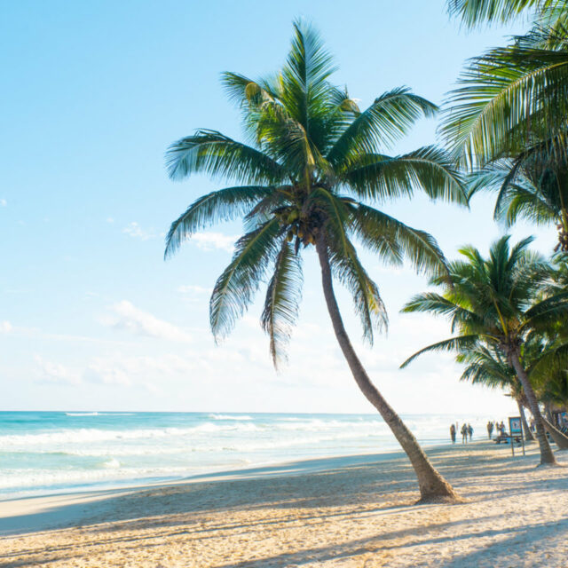 voyage-mexique-isla-holbox-istock