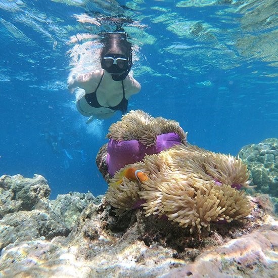 voyage-mexique-yucatan-snorkeling-maja-novak-unsplash