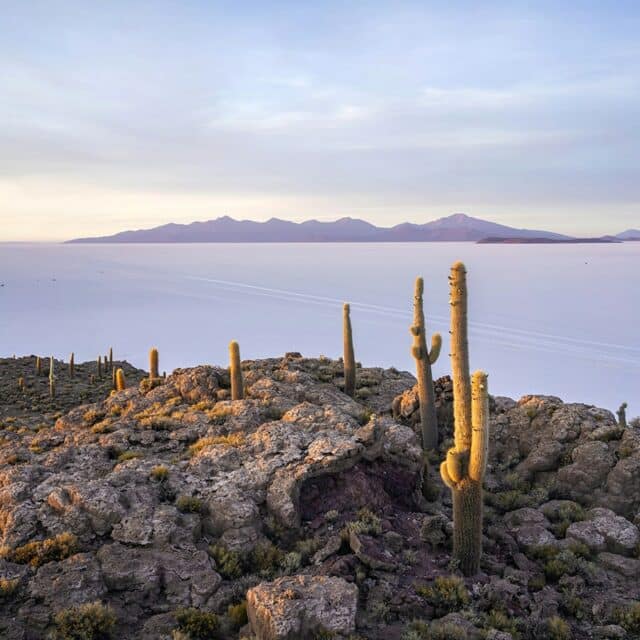 voyage-perou-bolivie-uyuni-robin-noguier-unsplash